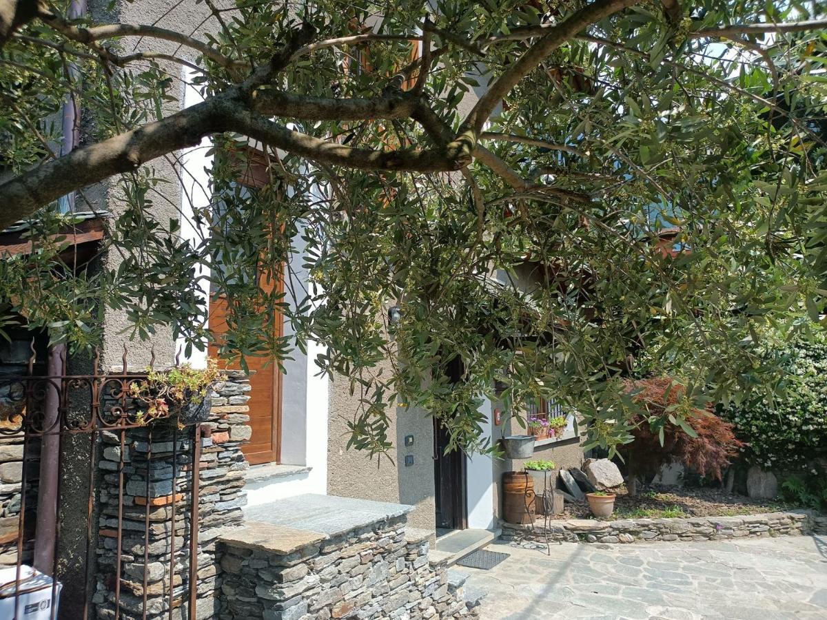 Rosina House E Chalet Колико Екстериор снимка