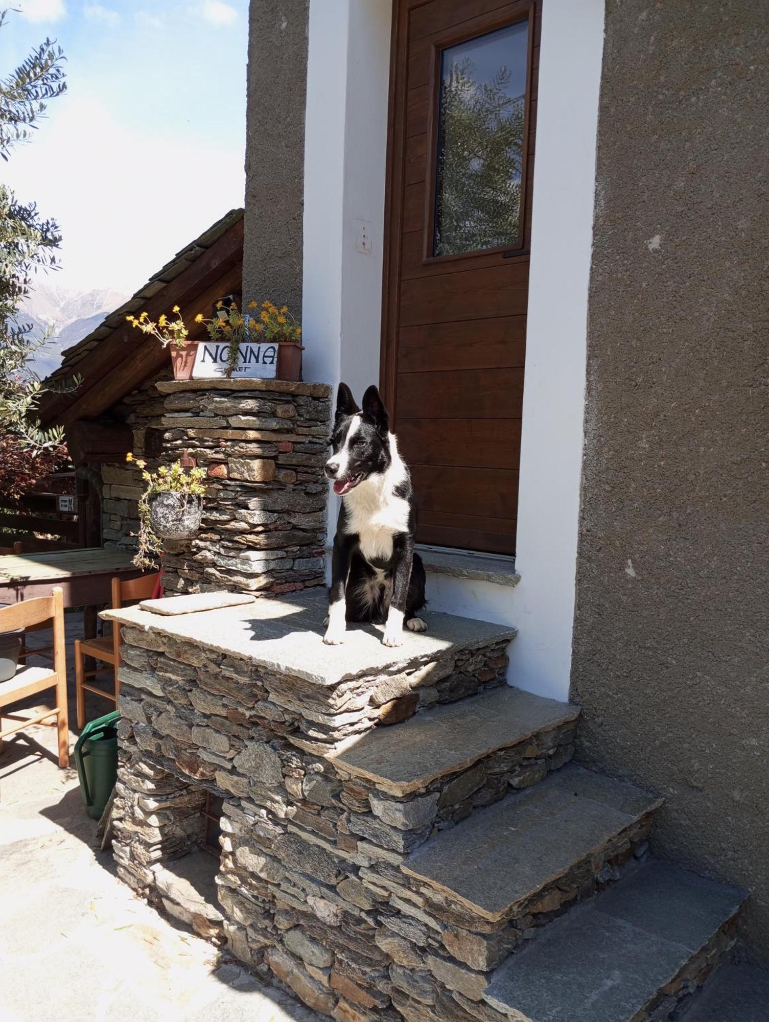 Rosina House E Chalet Колико Екстериор снимка