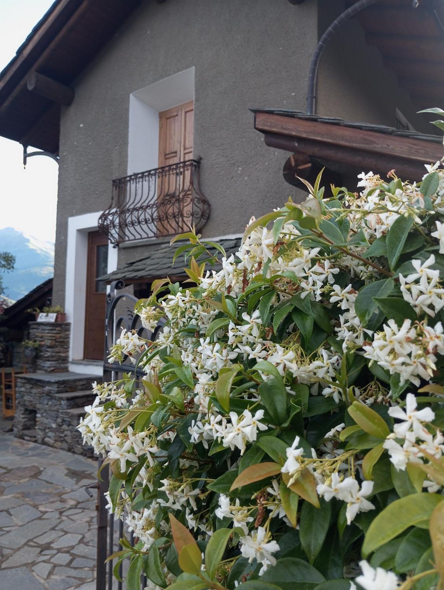 Rosina House E Chalet Колико Екстериор снимка